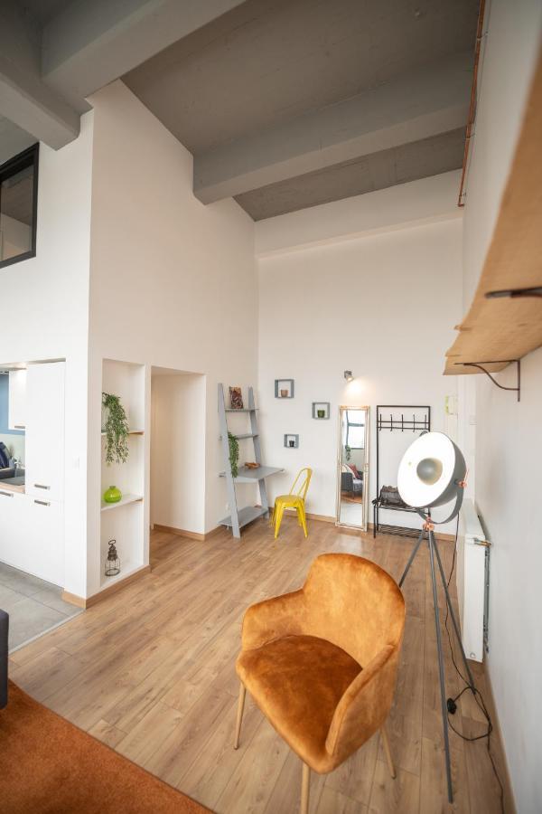 Welcome Loft Сент-Этьен Экстерьер фото